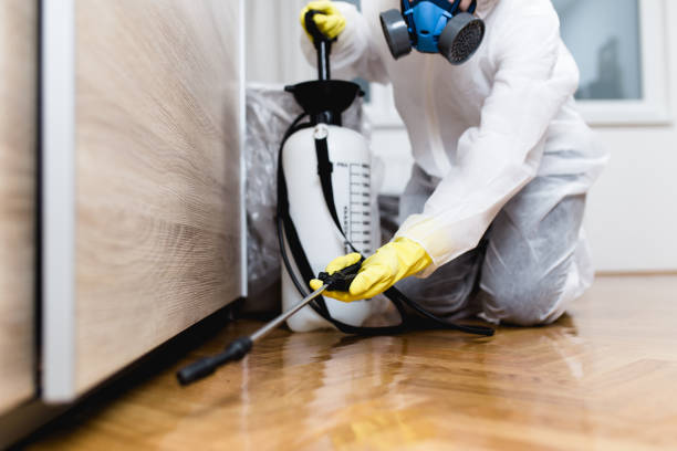 Best Affordable Pest Control Services  in Edgewood, NM