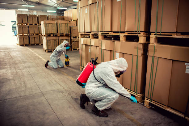 Best Bed Bug Extermination  in Edgewood, NM