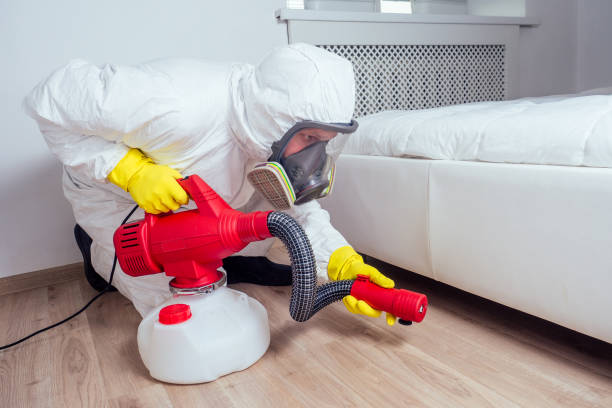 Best Pest Control for Homes  in Edgewood, NM
