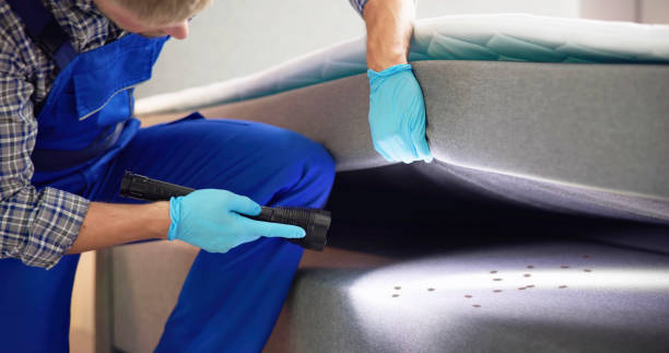 Best Rat Extermination Near Me  in Edgewood, NM