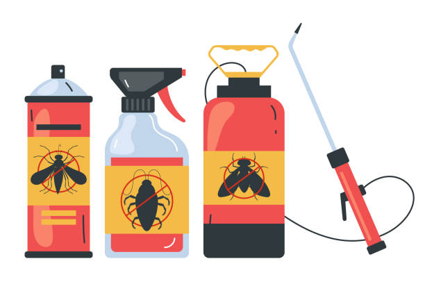 Best Insect Control  in Edgewood, NM