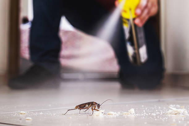 Best Exterminator Services  in Edgewood, NM