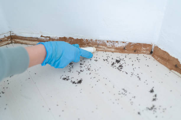 Best Pest Inspection Near Me  in Edgewood, NM