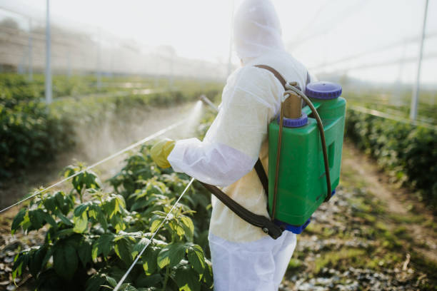 Best Local Pest Control Services  in Edgewood, NM